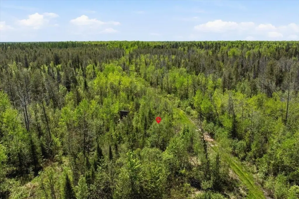 Picture 63