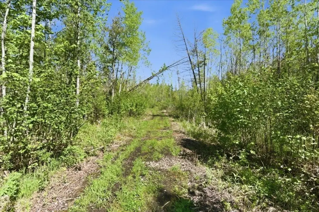 Picture 12