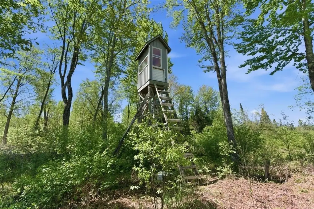 Picture 19