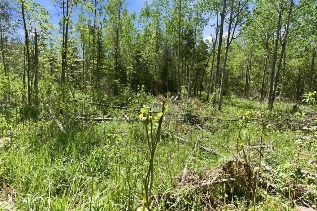 Picture 22