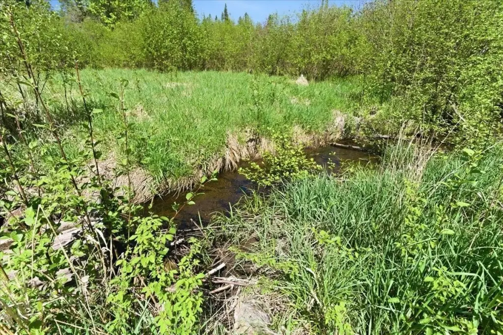 Picture 28