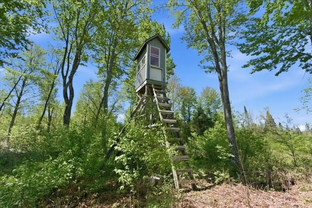 Picture 25