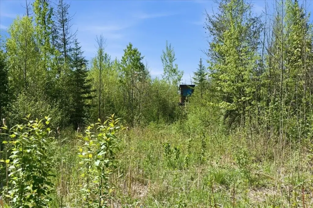 Picture 14