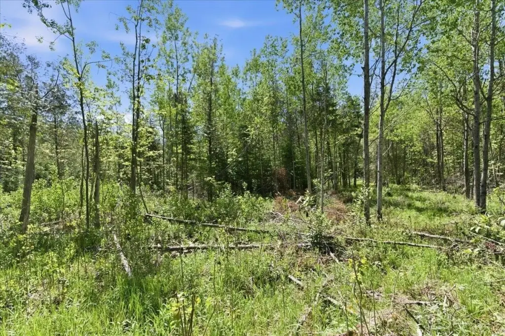 Picture 23