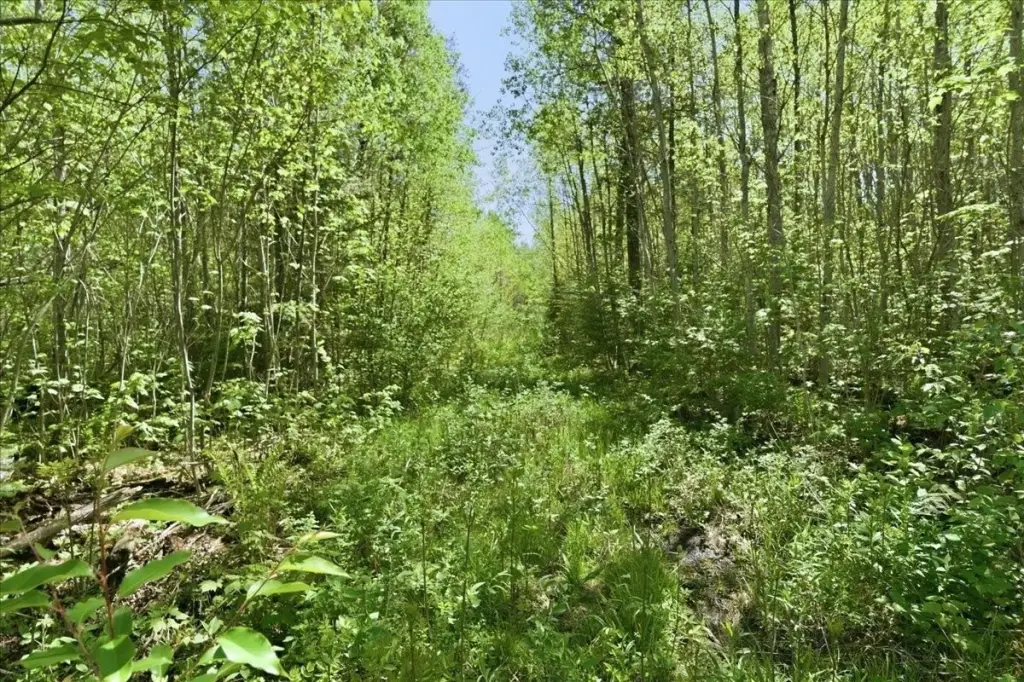 Picture 16