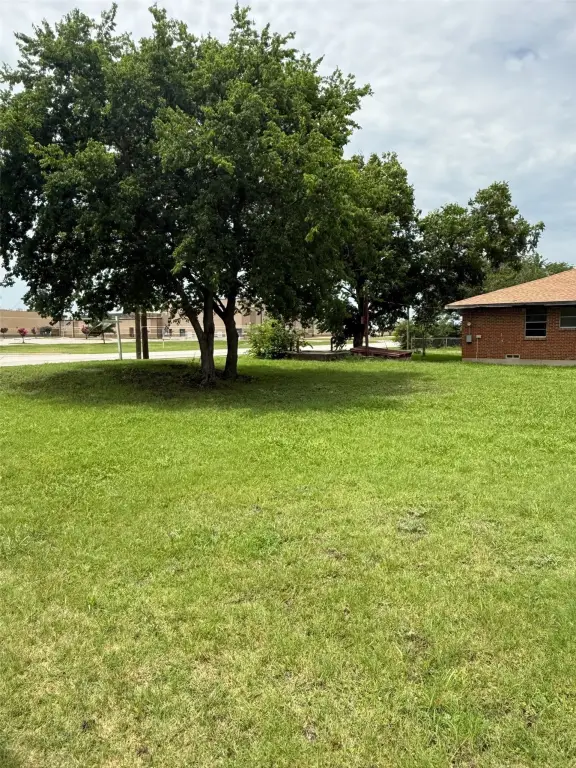 Picture 4