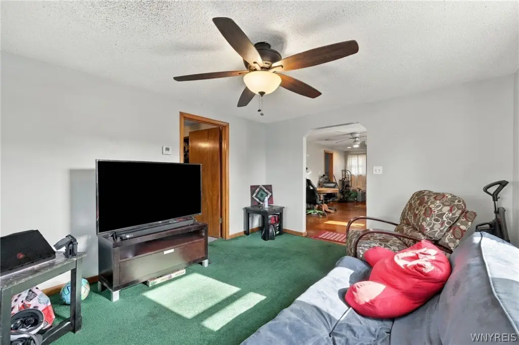 Picture 17