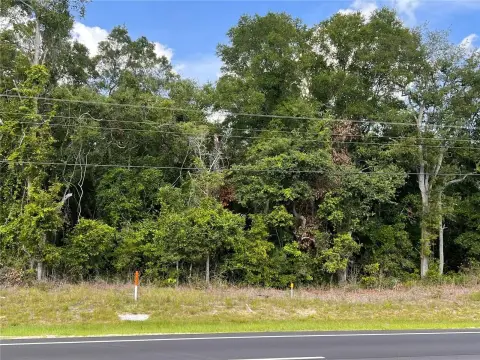 Prime Commercial Land on US 19