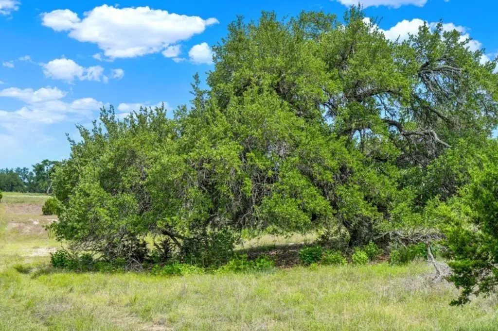 Picture 28