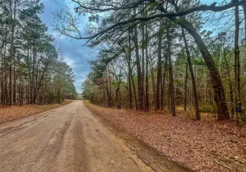 Rusk County Wooded Land Parcel