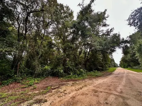 Chiefland, FL Acreage Lot