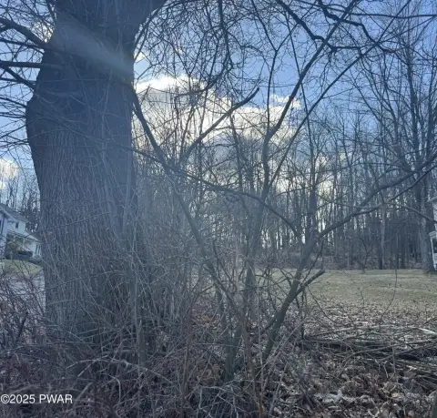 Cleared Corner Lot Ready to Build