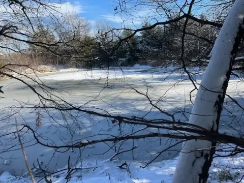 51 Acres of Diverse Land