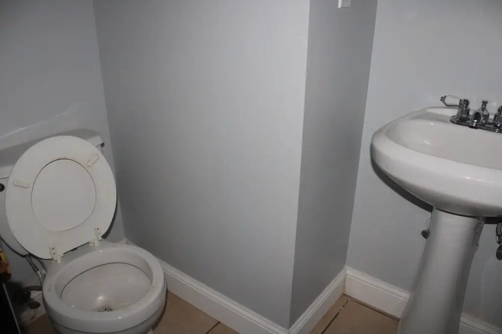 Picture 29