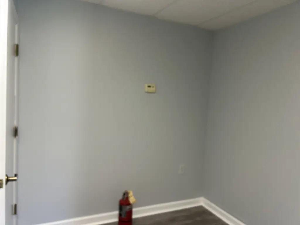 Picture 21