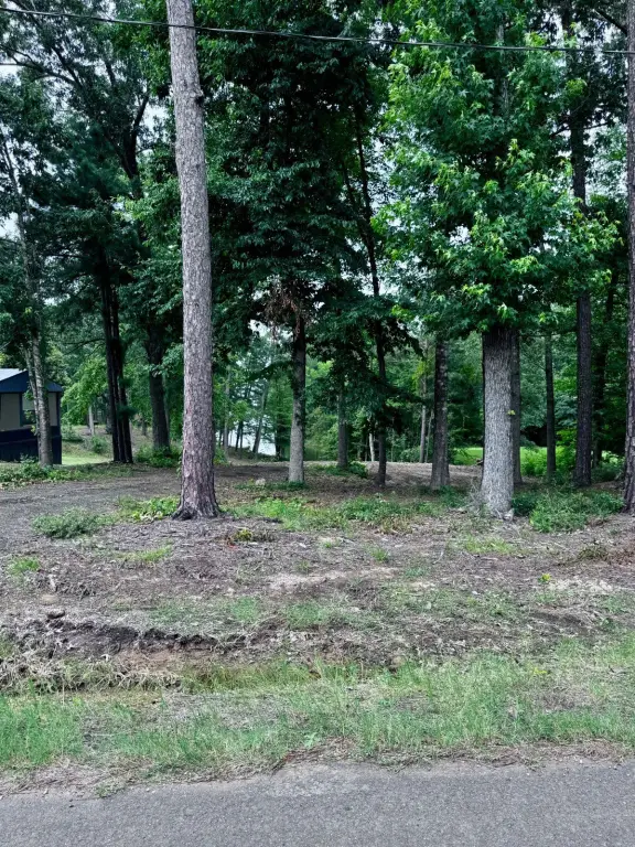 Picture 8