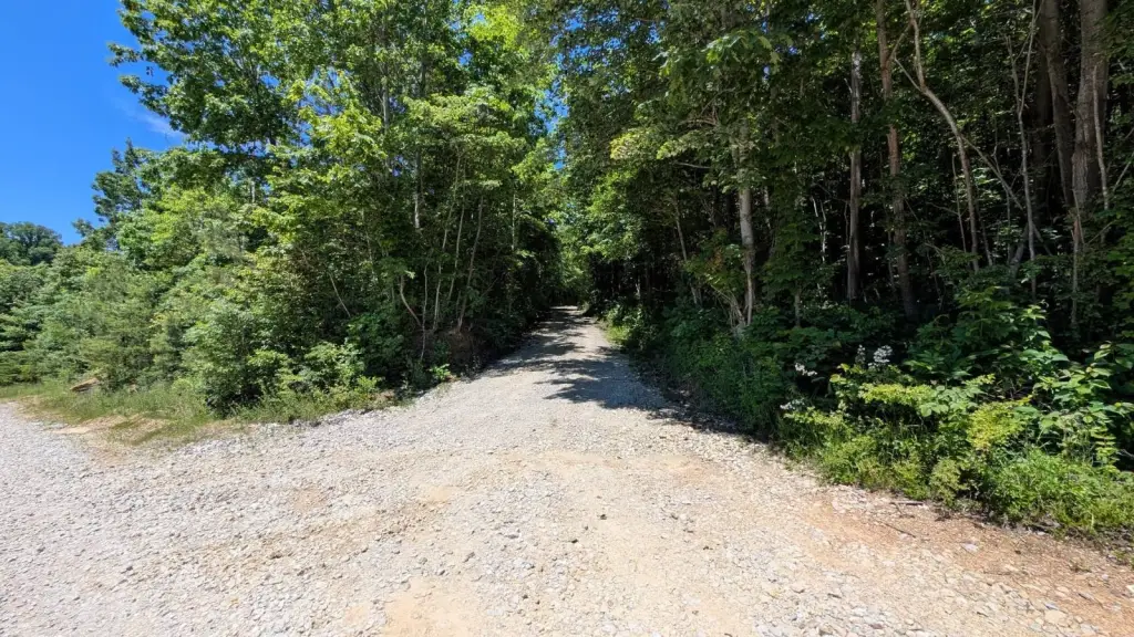 Picture 28