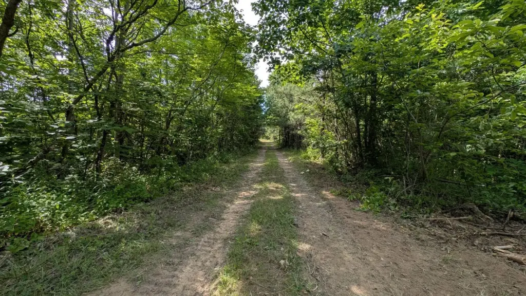 Picture 29