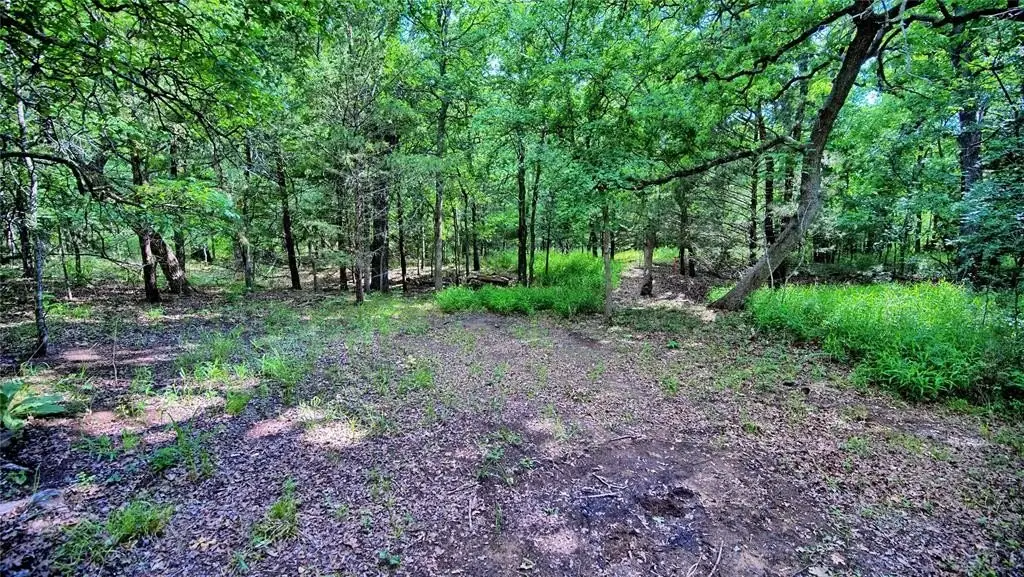 Picture 16