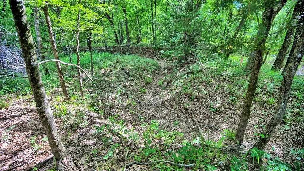 Picture 3