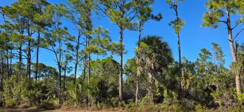 Waterfront Lot in Gulf Cove