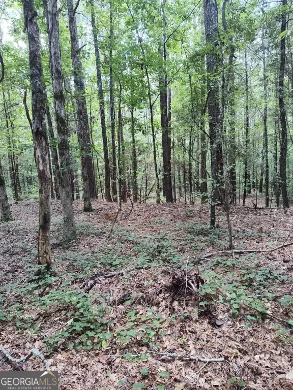 Picture 19
