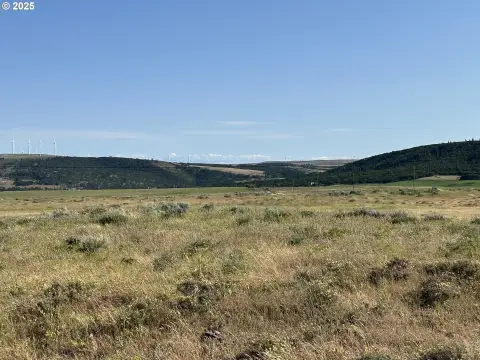 20 Acres Land in Goldendale