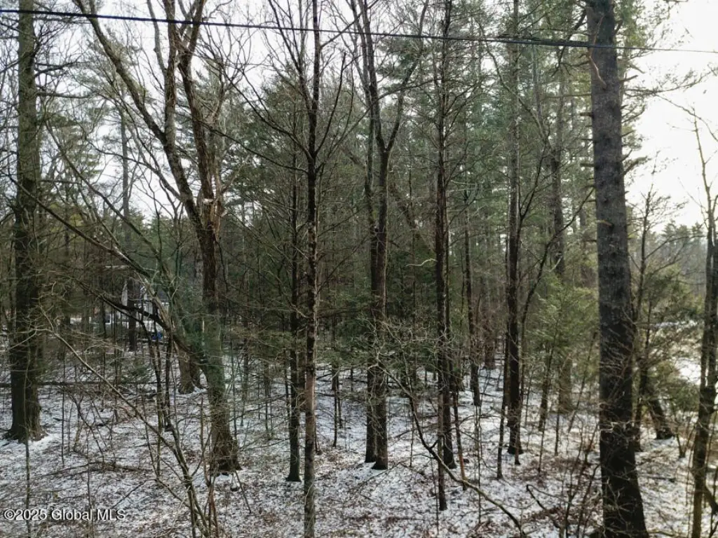 Picture 5