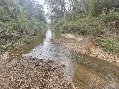 Unrestricted Land with Creek Frontage