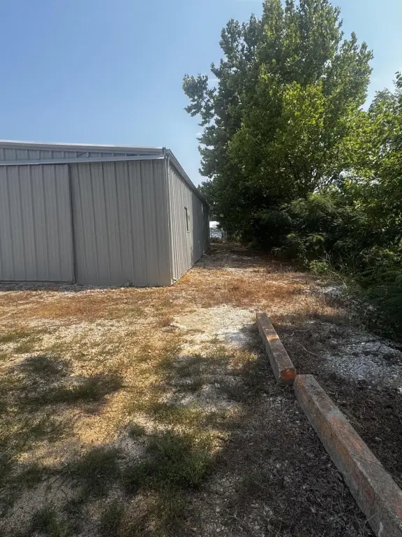Picture 6