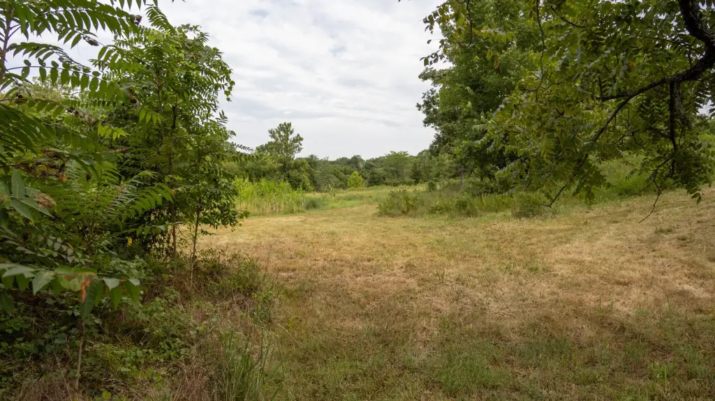 Picture 21