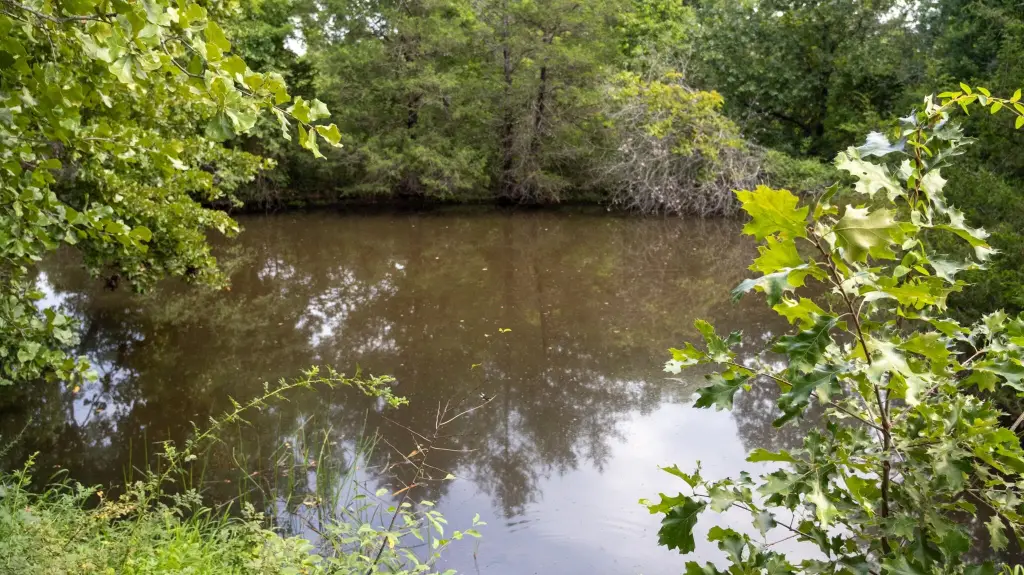 Picture 20