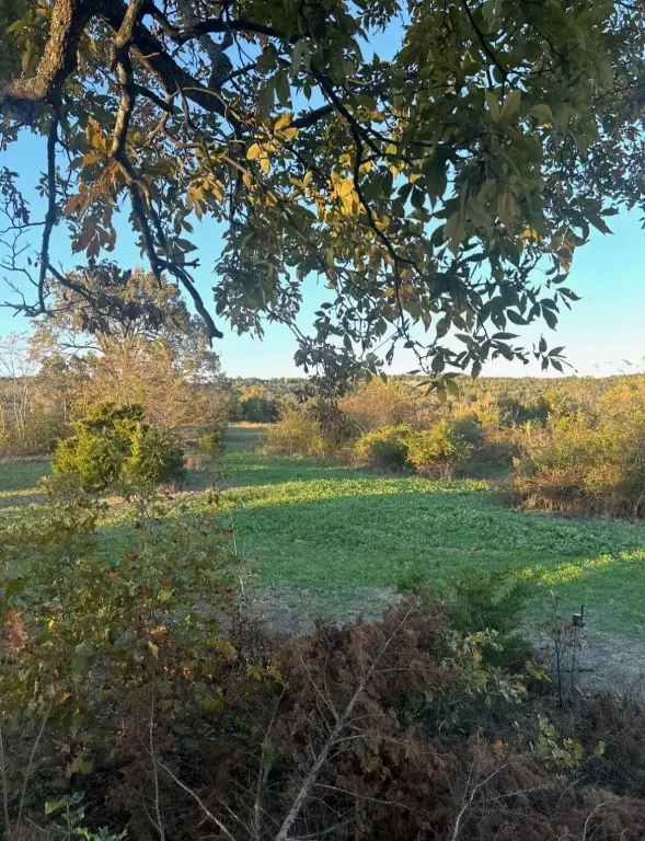 Picture 22