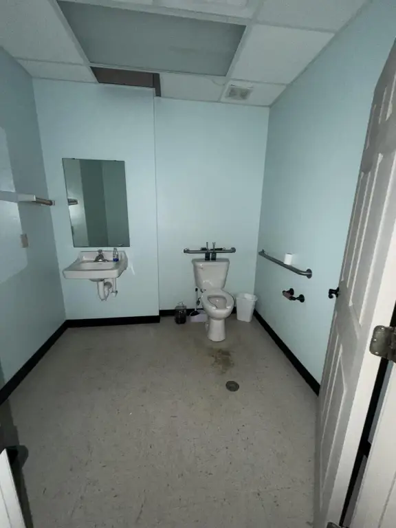 Picture 11