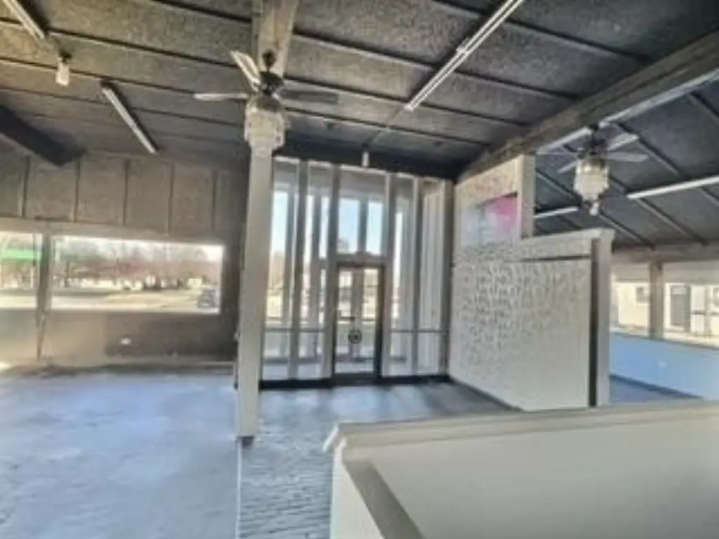 Picture 5