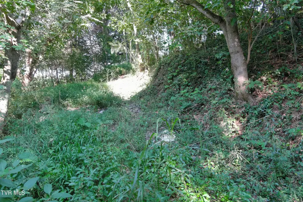 Picture 12