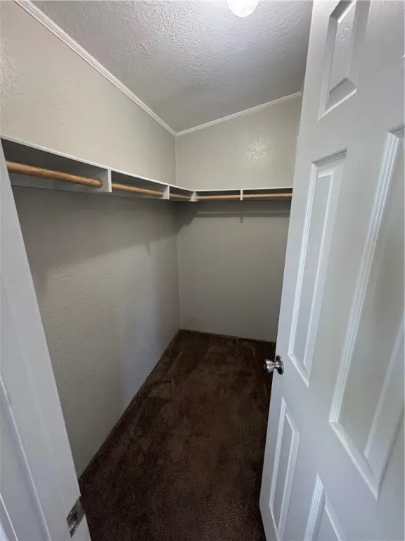 Picture 28