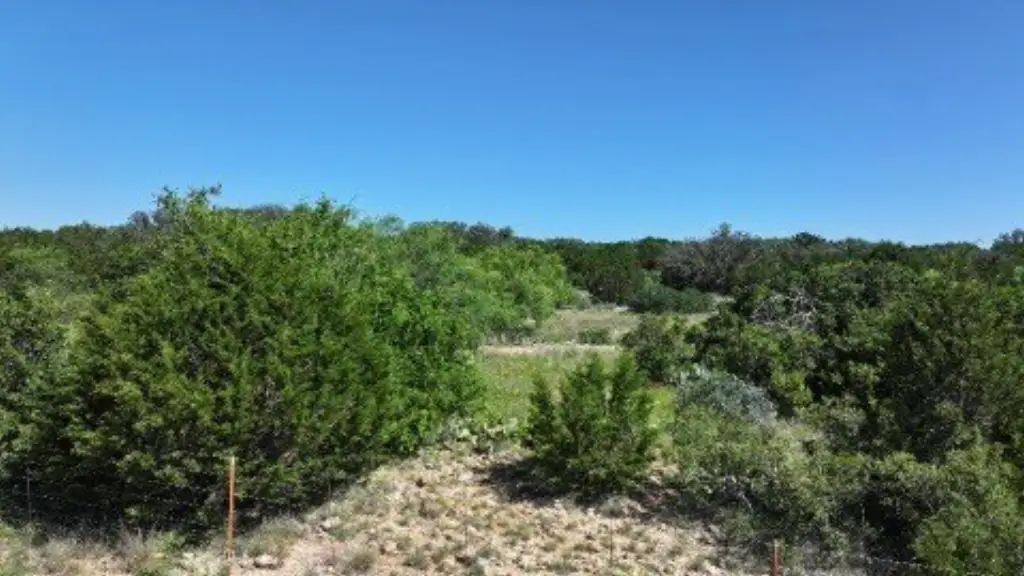 Picture 25