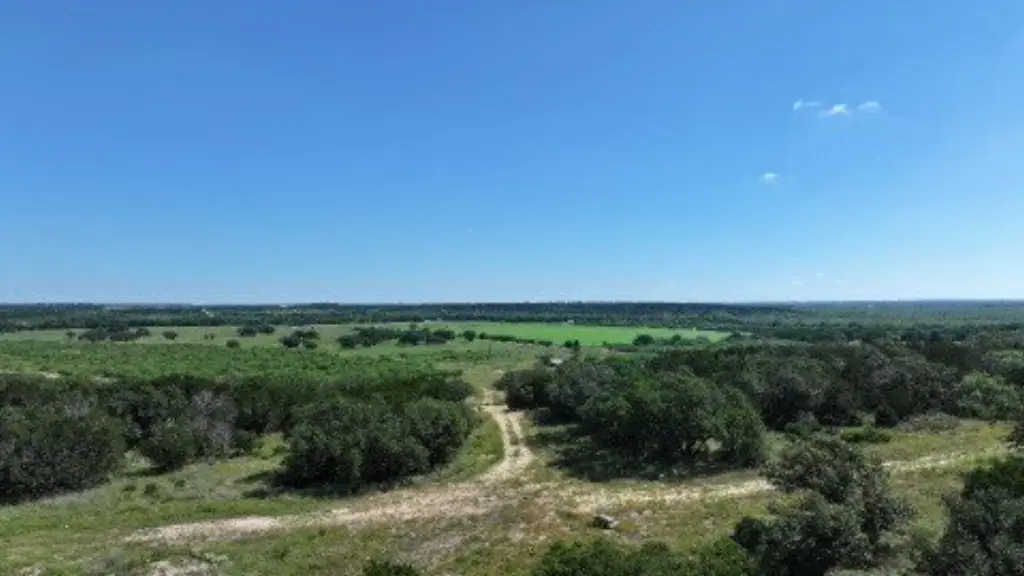 Picture 21