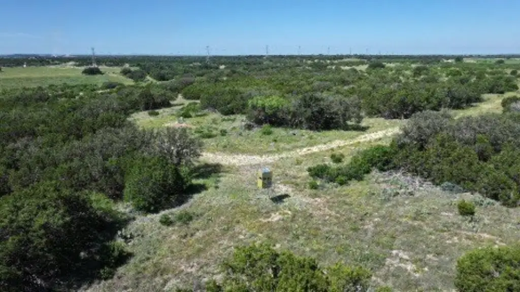 Picture 8