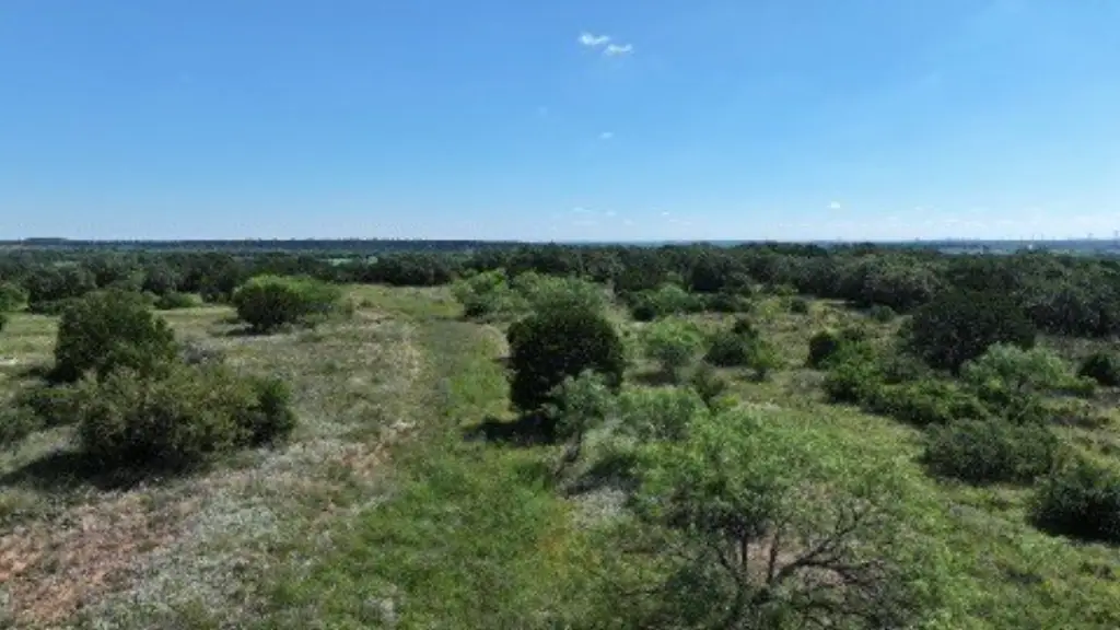 Picture 26