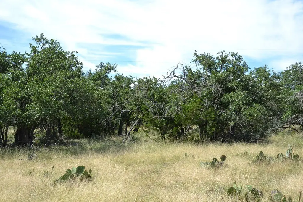 Picture 21