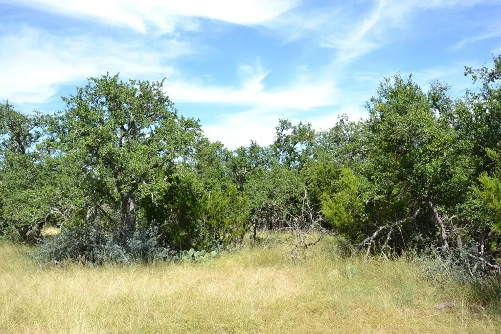 Picture 19