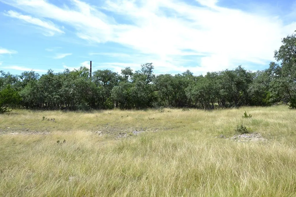 Picture 23