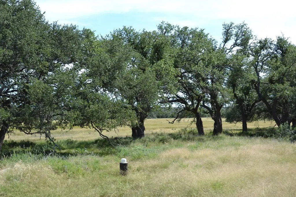Picture 30