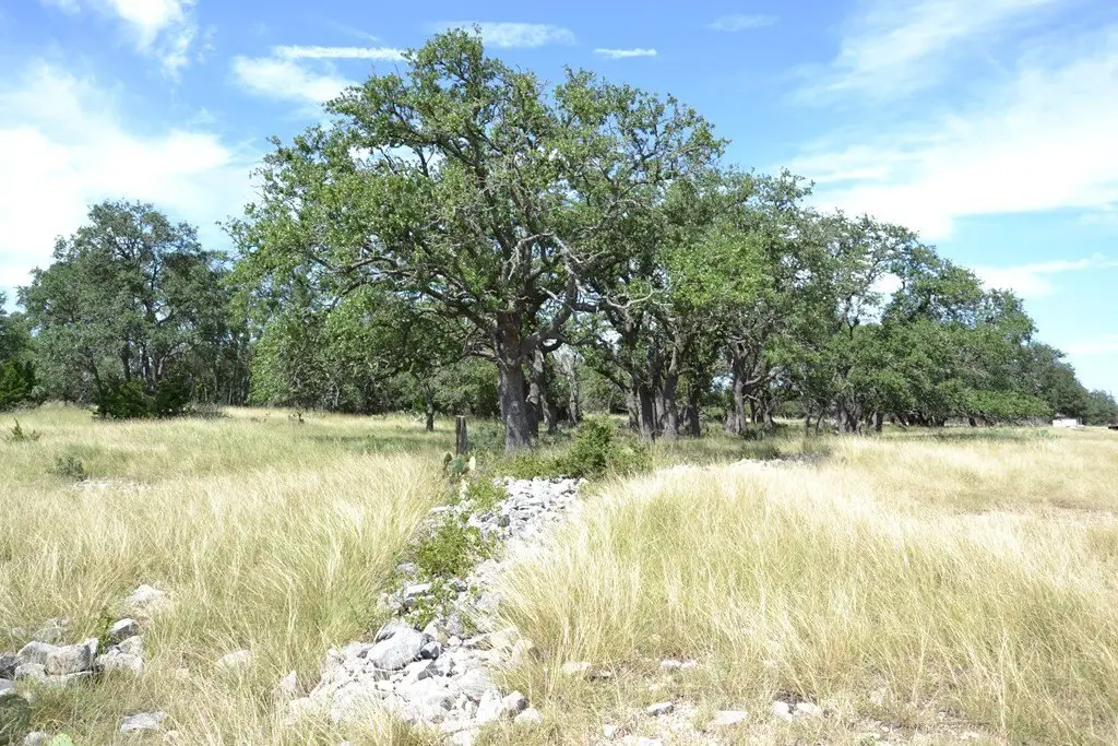 Picture 22