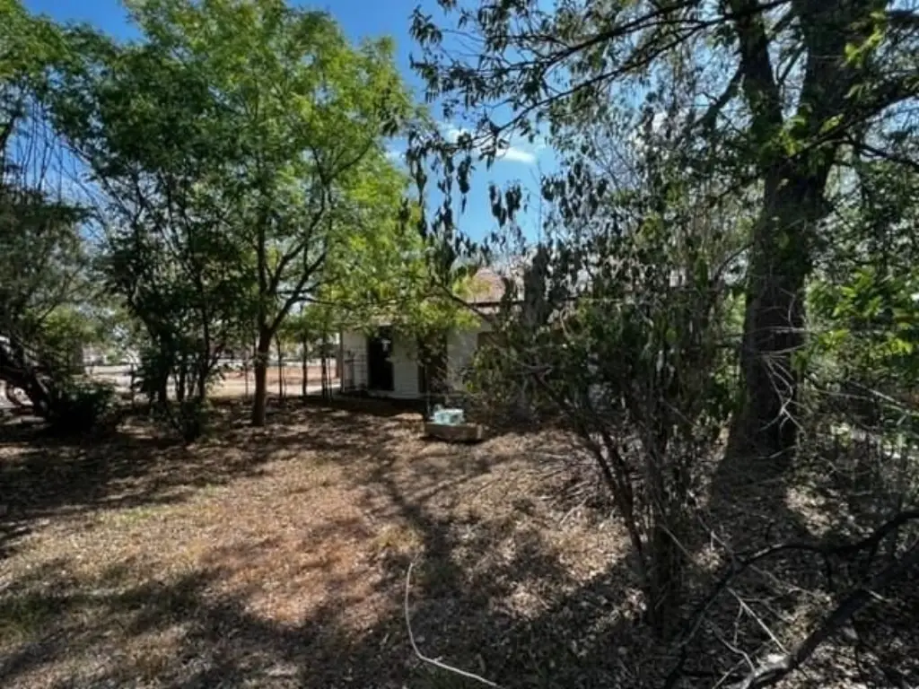 Picture 15