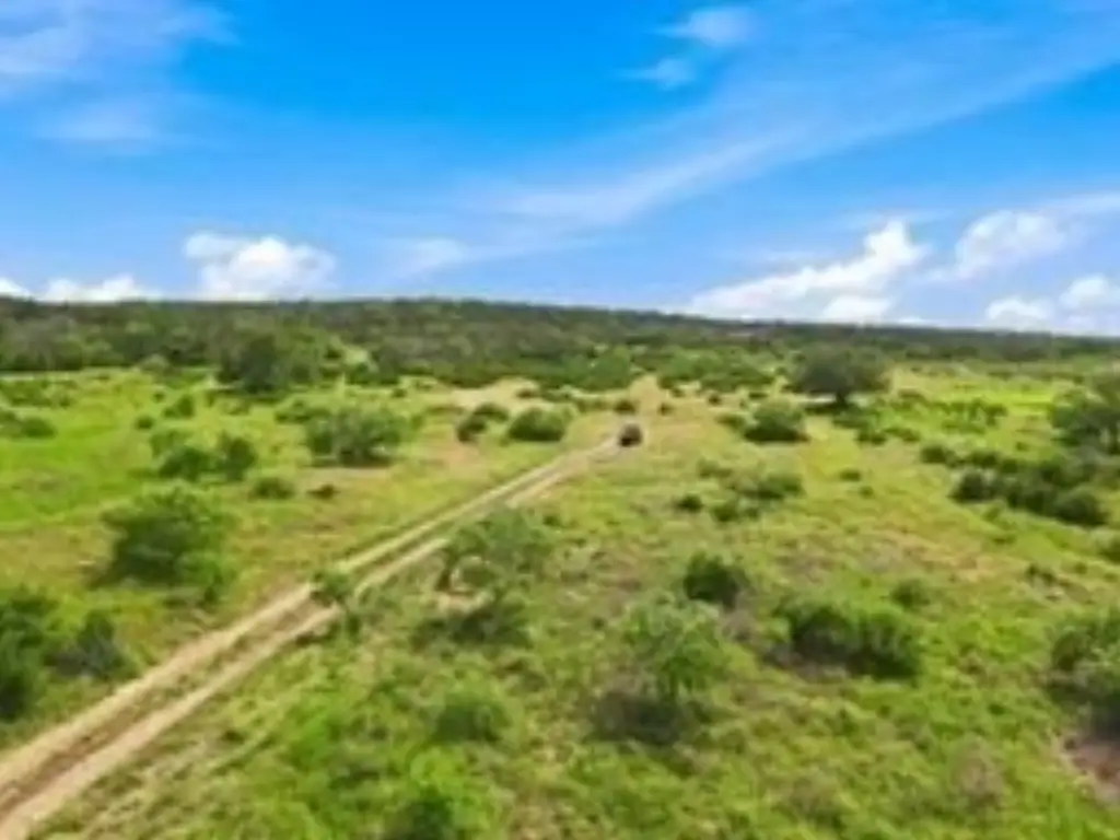 Picture 47