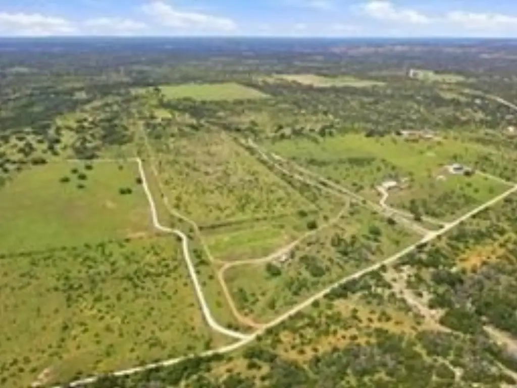 Picture 39