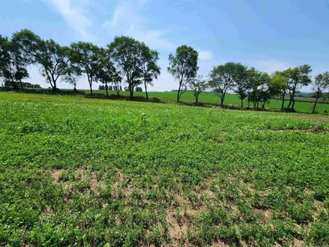 Residential Land in Waunakee, WI